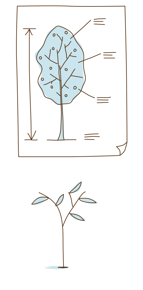 arbre-2