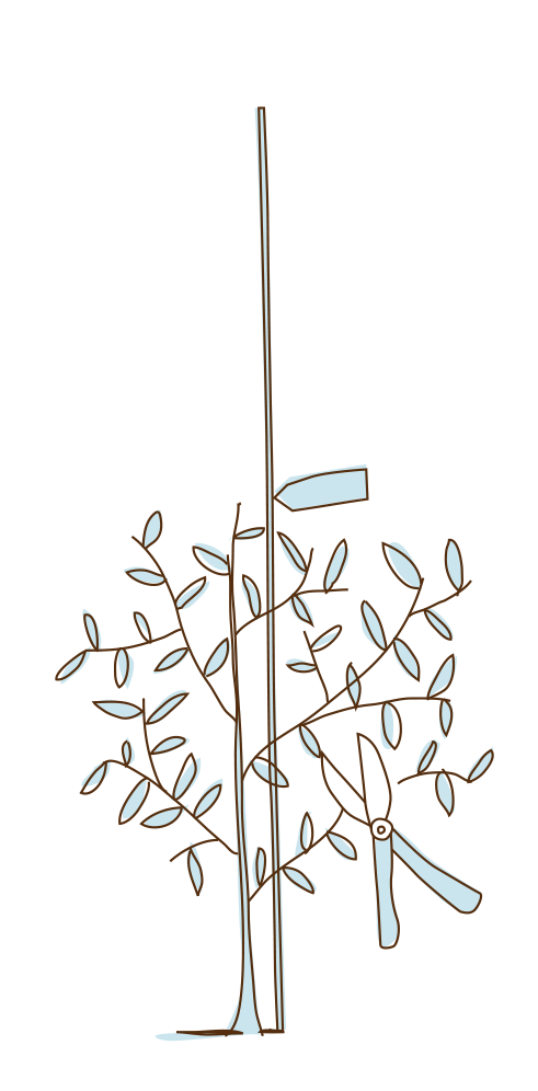 arbre-3